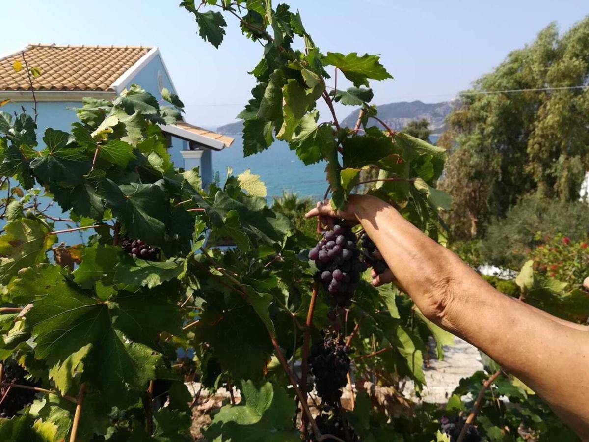 Cozy Apartment Few Mins From Beach Corfu Агиос Георгиос Пагон Екстериор снимка