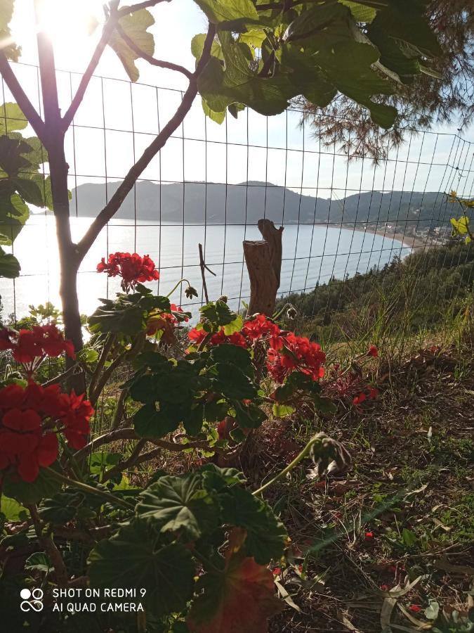 Cozy Apartment Few Mins From Beach Corfu Агиос Георгиос Пагон Екстериор снимка